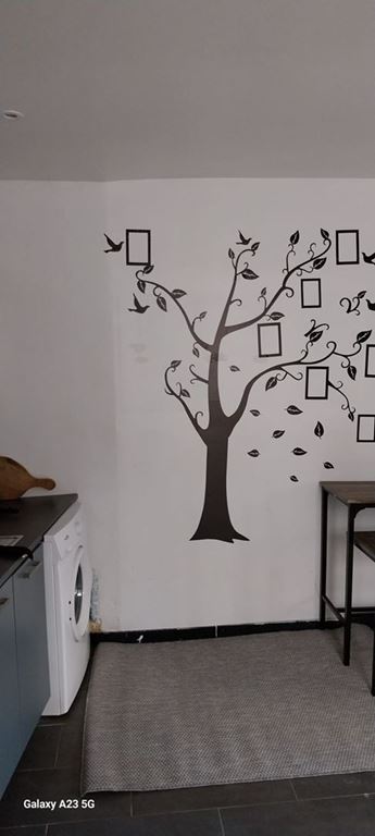 Appartement Studio TOULON (83000) CNI CONSEIL