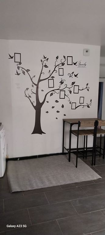Appartement Studio TOULON (83000) CNI CONSEIL